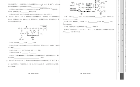 高一生物上学期第一次月考测试范围：人教版2019必修1第1章~第2章（广东专用）（考试版A3）_2025年10月高一试卷_2510032025-2026学年高一生物上学期第一次月考
