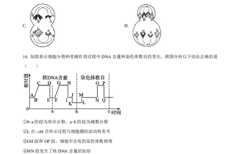 高一生物试卷_2026年04月高一试卷_260421山西省晋城一中高一2026年4月月考