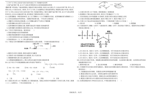 高一生物期中考试2025级（答案版）_2025年12月高一试卷_251208黑龙江省哈尔滨市师范大学附属中学2025-2026学年高一上学期期中考试（全）