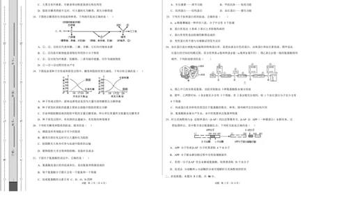 高一生物上学期第一次月考01测试范围：第1章~第2章第4节（考试版A3）（人教版2019）_2025年10月高一试卷_2510032025-2026学年高一生物上学期第一次月考