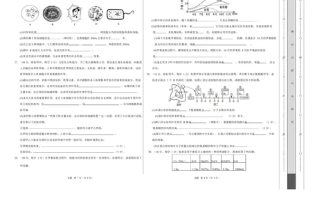 高一生物上学期第一次月考01测试范围：第1章~第2章第4节（考试版A3）（人教版2019）_2025年10月高一试卷_2510032025-2026学年高一生物上学期第一次月考
