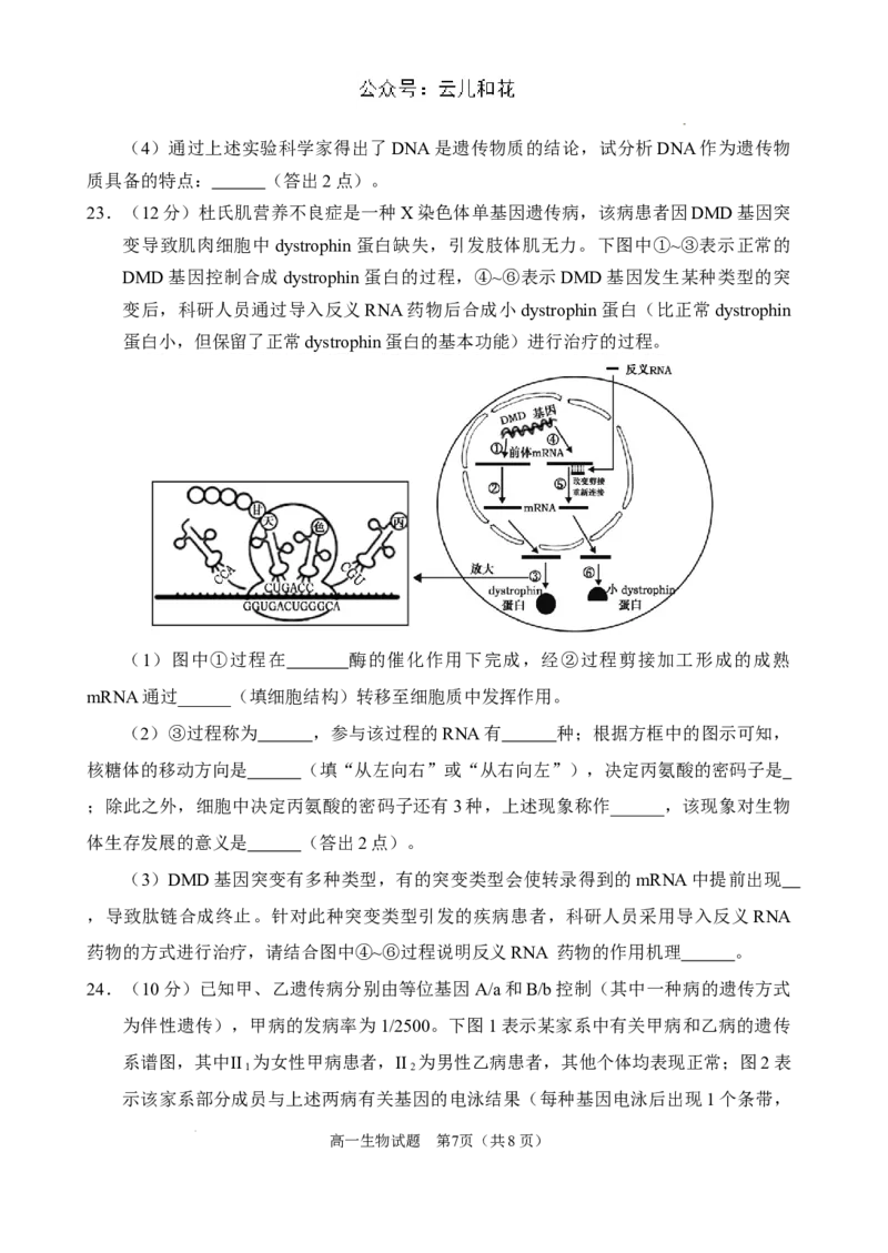 （教研室提供）山东省威海市2023-2024学年高一下学期期末考试生物试题_2024年08月试卷_0815山东省威海市2023-2024学年高一学期期末考试