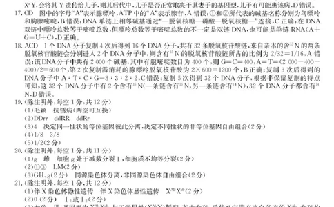高一生物答案_2025年04月试卷_0421河北省沧州市四县联考2024-2025学年高一下学期4月期中考试_河北省沧州市四县联考2024-2025学年高一下学期4月期中生物试题（PDF版，含答案）