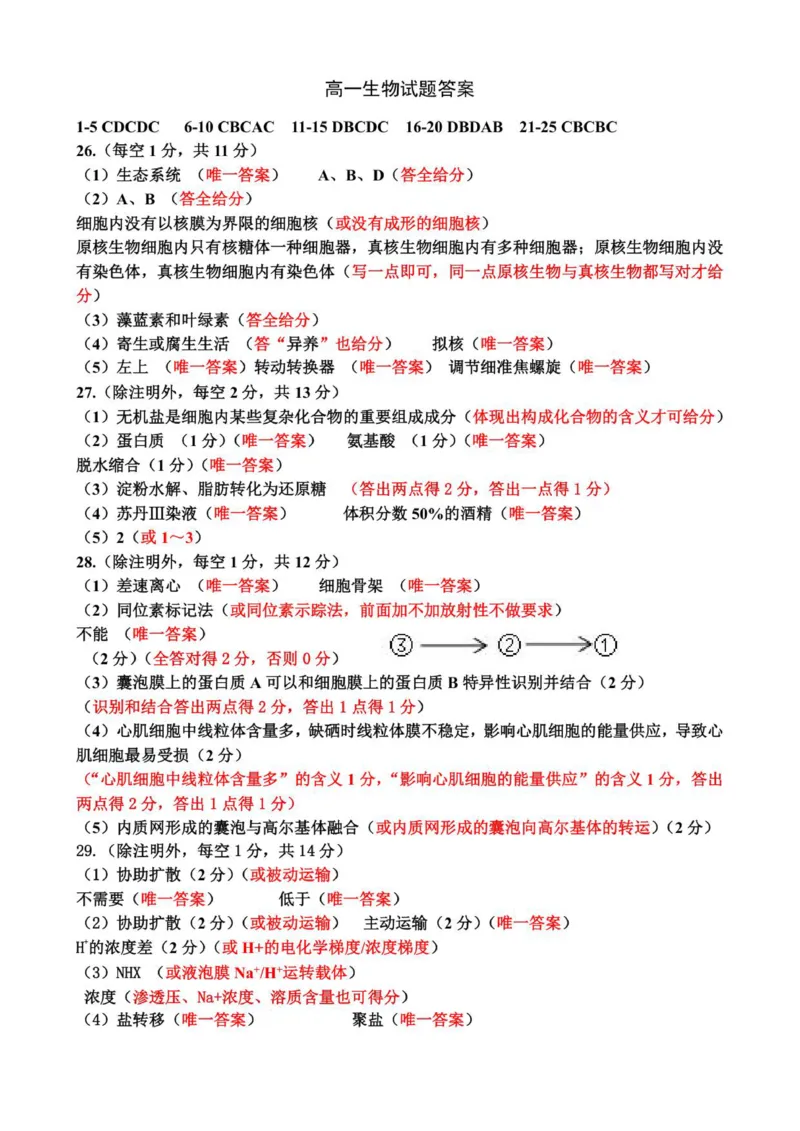 高一生物答案_2025年12月高一试卷_251221山东省济宁市兖州区2025-2026学年高一上学期期中（全）_山东省济宁市兖州区2025-2026学年高一上学期期中生物试题（图片版，含答案）