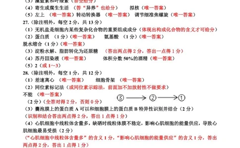 高一生物答案_2025年12月高一试卷_251221山东省济宁市兖州区2025-2026学年高一上学期期中（全）_山东省济宁市兖州区2025-2026学年高一上学期期中生物试题（图片版，含答案）