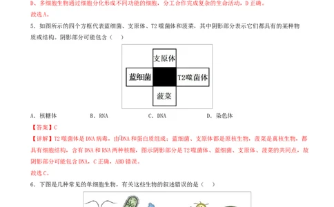 高一生物上学期第一次月考（山东专用）（全解全析）（山东专用）_2025年10月高一试卷_2510032025-2026学年高一生物上学期第一次月考