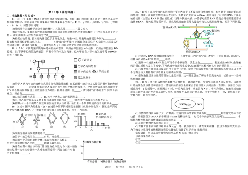 高一生物_2024年07月试卷_0710四川省成都市树德中学2023-2024学年高一下学期期末考试_四川省成都市青羊区四川省成都市树德中学2023-2024学年高一下学期7月期末生物试题_高一生物定稿