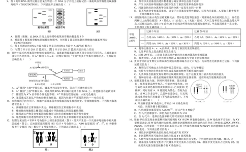 高一生物_2024年07月试卷_0710四川省成都市树德中学2023-2024学年高一下学期期末考试_四川省成都市青羊区四川省成都市树德中学2023-2024学年高一下学期7月期末生物试题_高一生物定稿