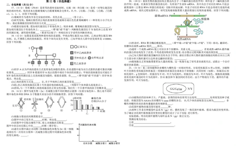 高一生物_2024年07月试卷_0710四川省成都市树德中学2023-2024学年高一下学期期末考试_四川省成都市青羊区四川省成都市树德中学2023-2024学年高一下学期7月期末生物试题_高一生物定稿