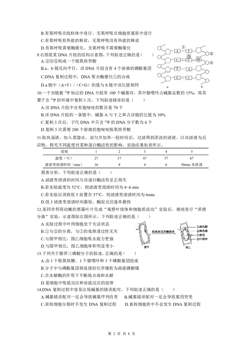 高一生物期中考（选考）25年4月(2)_2025年05月试卷_0501浙江省余姚中学2024-2025学年高一下学期期中考试