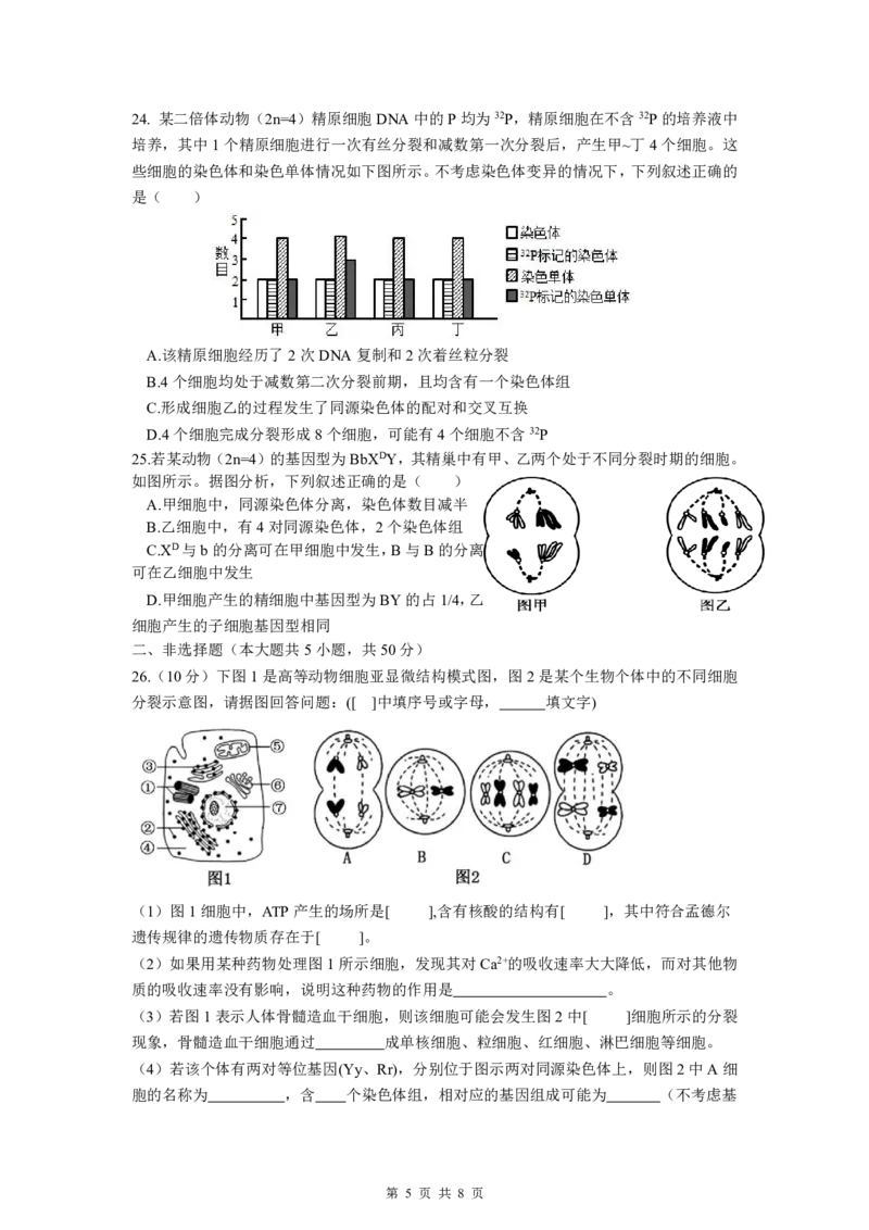 高一生物期中考（选考）25年4月(2)_2025年05月试卷_0501浙江省余姚中学2024-2025学年高一下学期期中考试