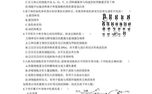 高一生物期中考（选考）25年4月(2)_2025年05月试卷_0501浙江省余姚中学2024-2025学年高一下学期期中考试