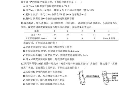 高一生物期中考（选考）25年4月(2)_2025年05月试卷_0501浙江省余姚中学2024-2025学年高一下学期期中考试