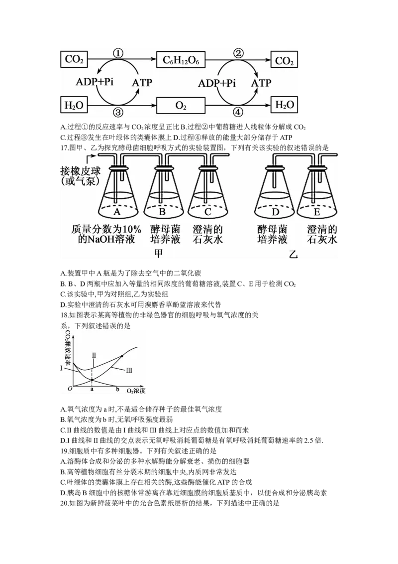 黑龙江省牡丹江二中23届高三上学期第二次阶段测试生物含答案_生物高考模拟题_老高考_2023年