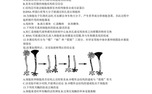 黑龙江省牡丹江二中23届高三上学期第二次阶段测试生物含答案_生物高考模拟题_老高考_2023年