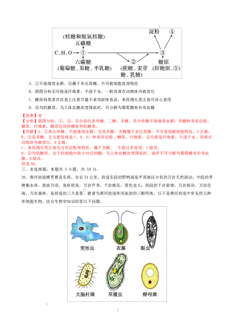 高一生物上学期第一次月考（江苏专用）（全解全析）（人教版2019）_2025年10月高一试卷_2510032025-2026学年高一生物上学期第一次月考