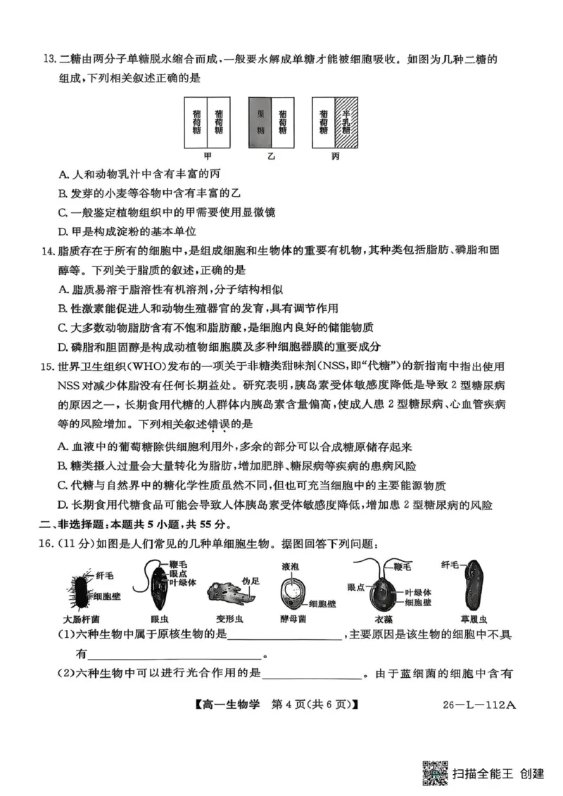 高一年级阶段联考生物_2025年10月高一试卷_251018安徽省江淮名校2025-2026学年高一上学期阶段联考_安徽省江淮名校2025&mdash;2026学年高一上学期10月阶段联考生物试题（扫描版，有答案）