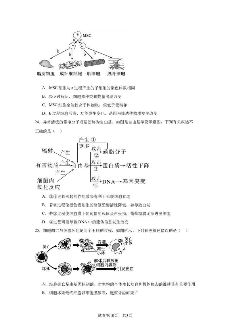 黑龙江省哈尔滨市第六中学校2025-2026学年高一上学期1月期末生物试题_2026年02月高一试卷_260206黑龙江省哈尔滨市第六中学2025-2026学年高一上学期期末