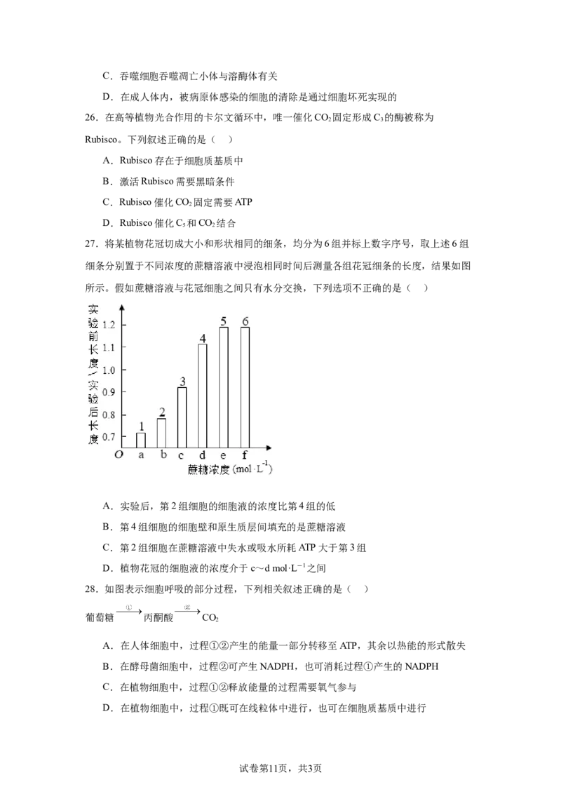 黑龙江省哈尔滨市第六中学校2025-2026学年高一上学期1月期末生物试题_2026年02月高一试卷_260206黑龙江省哈尔滨市第六中学2025-2026学年高一上学期期末