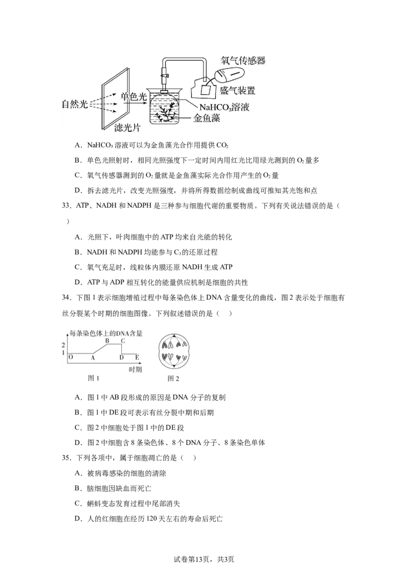 黑龙江省哈尔滨市第六中学校2025-2026学年高一上学期1月期末生物试题_2026年02月高一试卷_260206黑龙江省哈尔滨市第六中学2025-2026学年高一上学期期末