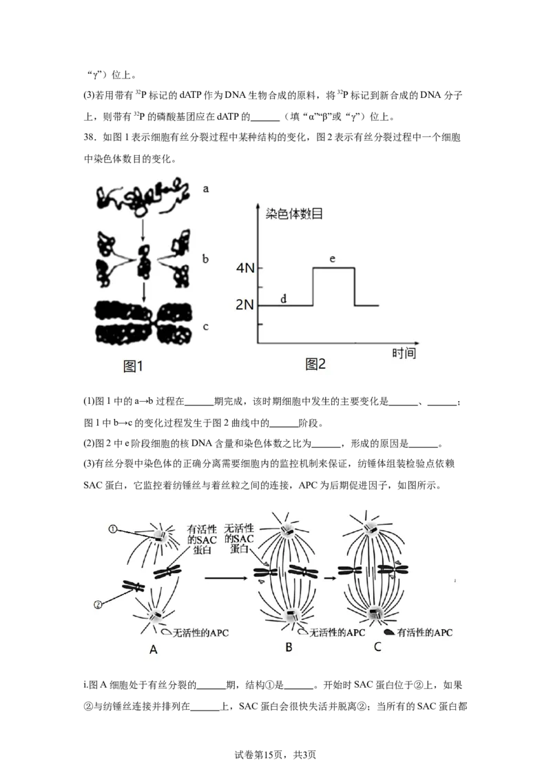 黑龙江省哈尔滨市第六中学校2025-2026学年高一上学期1月期末生物试题_2026年02月高一试卷_260206黑龙江省哈尔滨市第六中学2025-2026学年高一上学期期末