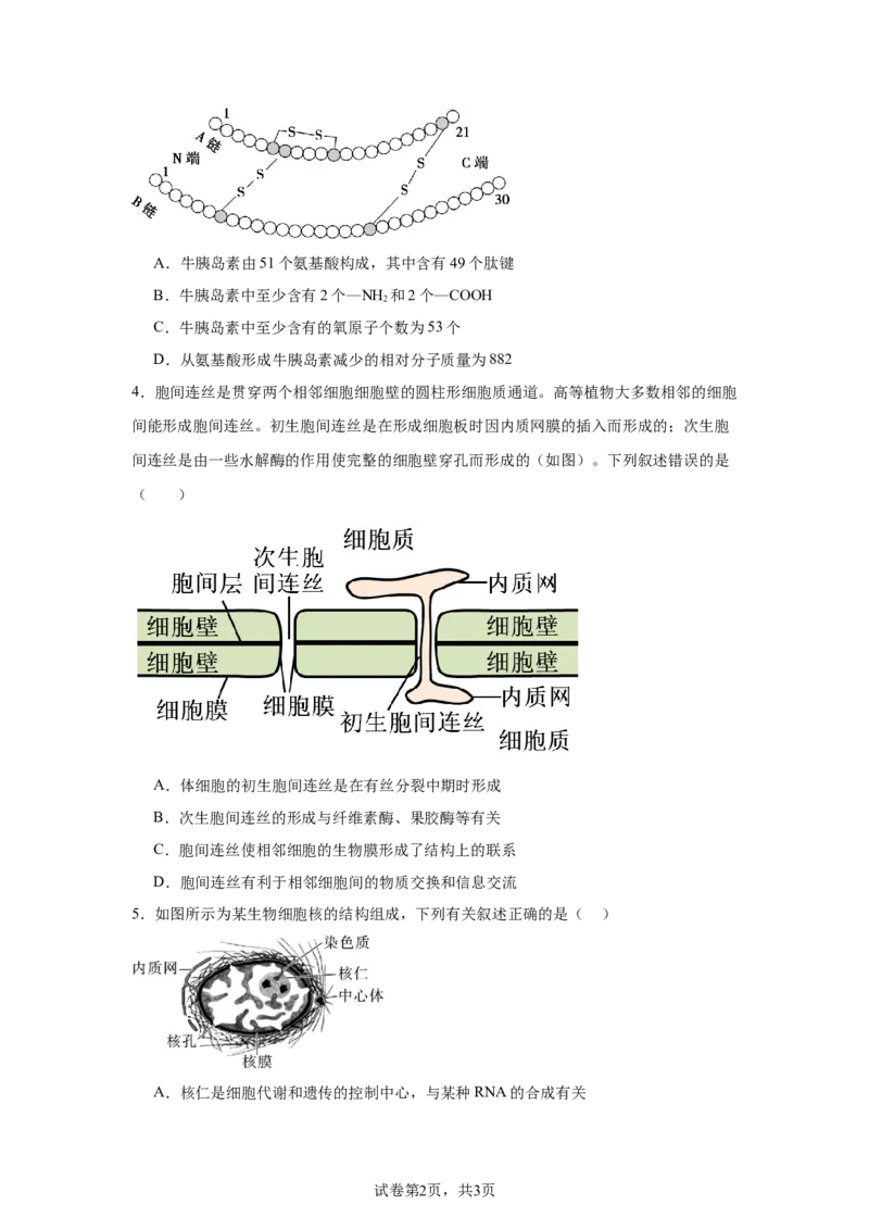 黑龙江省哈尔滨市第六中学校2025-2026学年高一上学期1月期末生物试题_2026年02月高一试卷_260206黑龙江省哈尔滨市第六中学2025-2026学年高一上学期期末