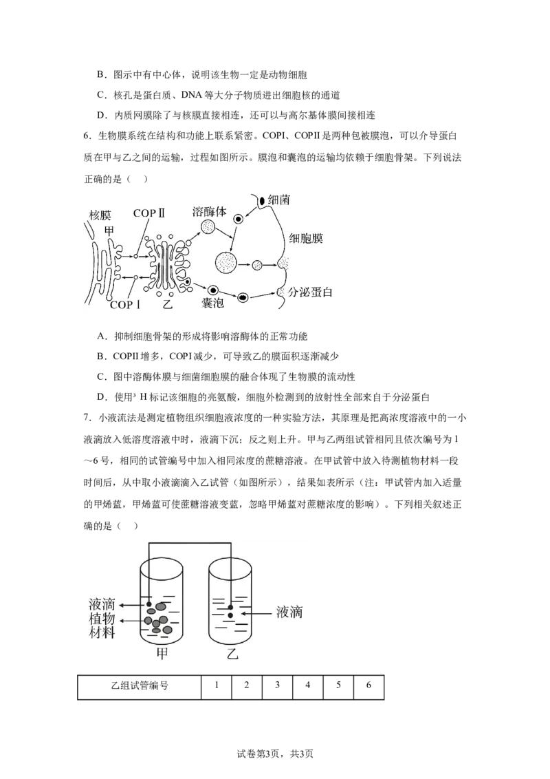 黑龙江省哈尔滨市第六中学校2025-2026学年高一上学期1月期末生物试题_2026年02月高一试卷_260206黑龙江省哈尔滨市第六中学2025-2026学年高一上学期期末