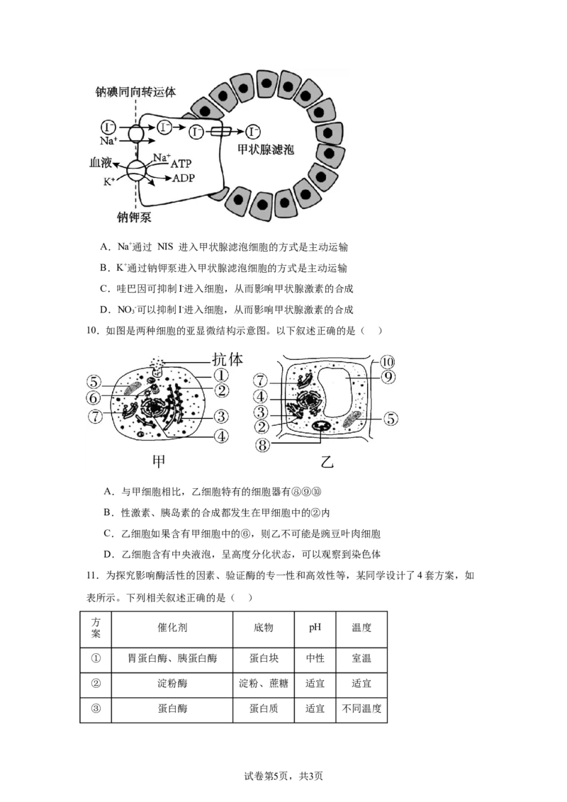 黑龙江省哈尔滨市第六中学校2025-2026学年高一上学期1月期末生物试题_2026年02月高一试卷_260206黑龙江省哈尔滨市第六中学2025-2026学年高一上学期期末