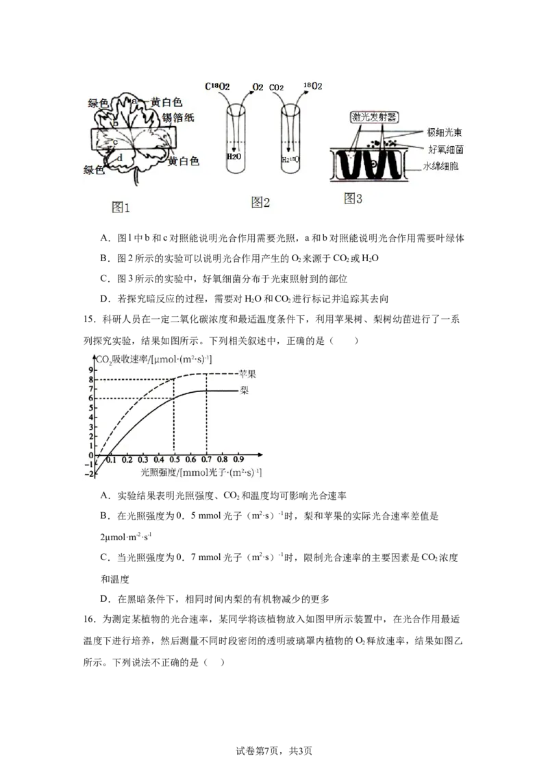 黑龙江省哈尔滨市第六中学校2025-2026学年高一上学期1月期末生物试题_2026年02月高一试卷_260206黑龙江省哈尔滨市第六中学2025-2026学年高一上学期期末
