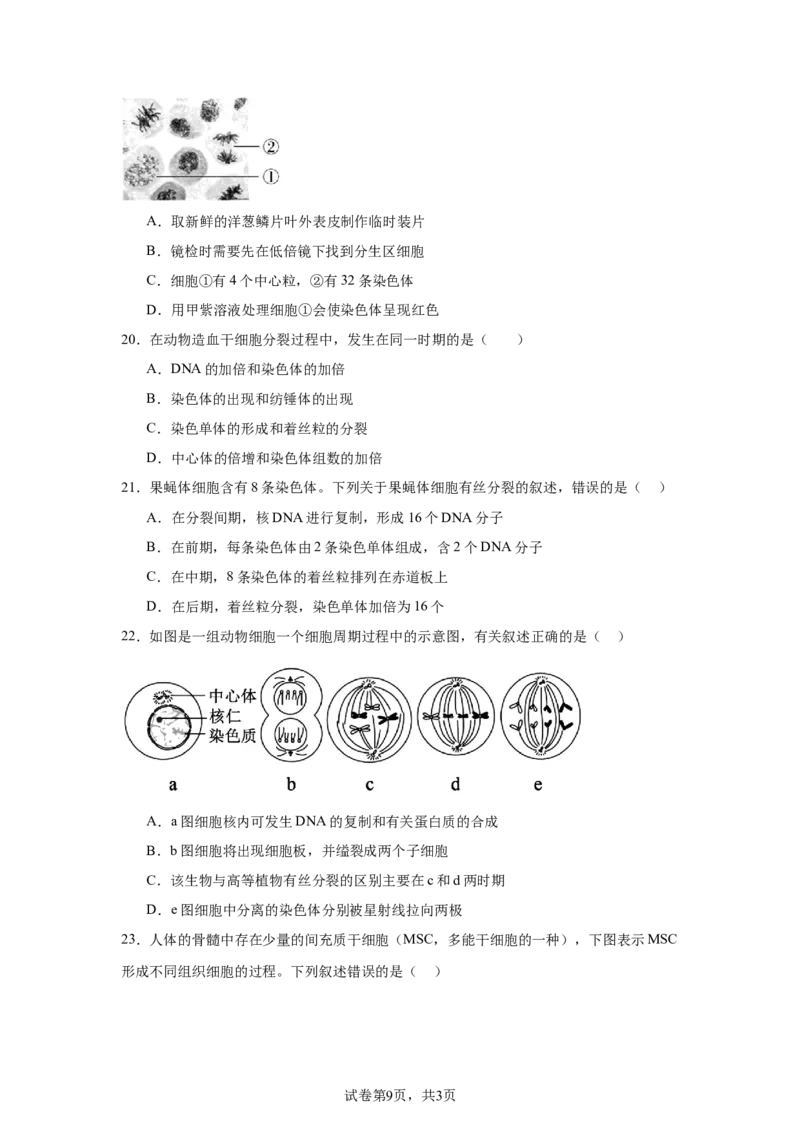 黑龙江省哈尔滨市第六中学校2025-2026学年高一上学期1月期末生物试题_2026年02月高一试卷_260206黑龙江省哈尔滨市第六中学2025-2026学年高一上学期期末