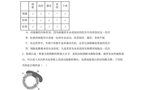黑龙江省哈尔滨市第六中学校2025-2026学年高一上学期1月期末生物试题_2026年02月高一试卷_260206黑龙江省哈尔滨市第六中学2025-2026学年高一上学期期末