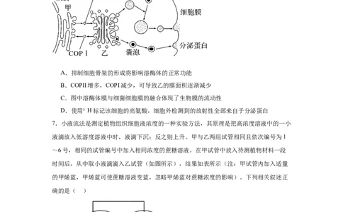 黑龙江省哈尔滨市第六中学校2025-2026学年高一上学期1月期末生物试题_2026年02月高一试卷_260206黑龙江省哈尔滨市第六中学2025-2026学年高一上学期期末