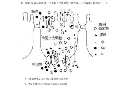 黑龙江省哈尔滨市第六中学校2025-2026学年高一上学期1月期末生物试题_2026年02月高一试卷_260206黑龙江省哈尔滨市第六中学2025-2026学年高一上学期期末