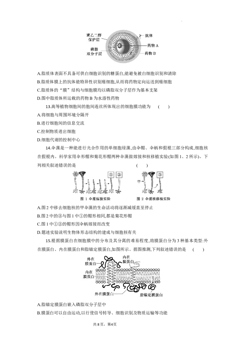 高一生物试题考试版_2025年10月高一试卷_251029湖北省部分高中协作体2025-2026学年高一上学期10月月考_湖北省部分高中协作体2025-2026学年高一上学期10月月考生物试题含答案