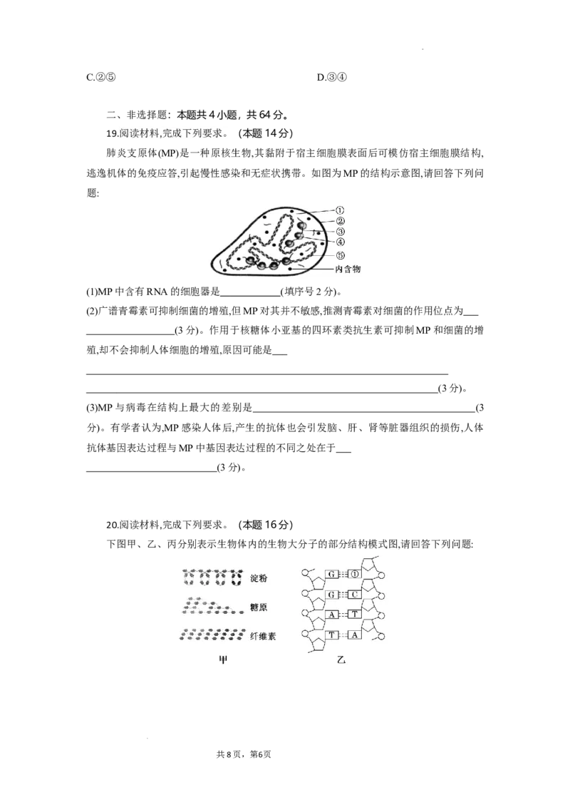 高一生物试题考试版_2025年10月高一试卷_251029湖北省部分高中协作体2025-2026学年高一上学期10月月考_湖北省部分高中协作体2025-2026学年高一上学期10月月考生物试题含答案