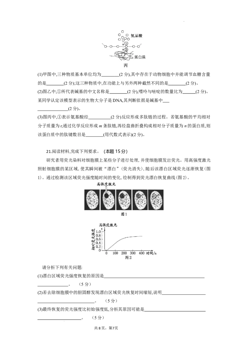 高一生物试题考试版_2025年10月高一试卷_251029湖北省部分高中协作体2025-2026学年高一上学期10月月考_湖北省部分高中协作体2025-2026学年高一上学期10月月考生物试题含答案