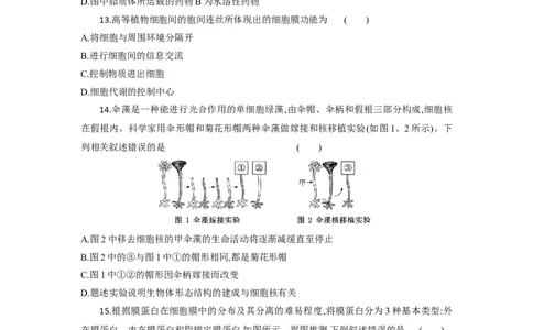 高一生物试题考试版_2025年10月高一试卷_251029湖北省部分高中协作体2025-2026学年高一上学期10月月考_湖北省部分高中协作体2025-2026学年高一上学期10月月考生物试题含答案