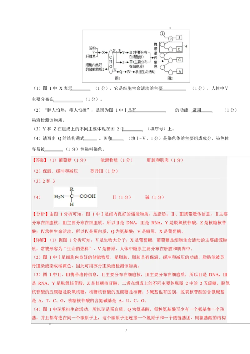 高一生物上学期第一次月考（广东专用）（全解全析）_2025年10月高一试卷_2510032025-2026学年高一生物上学期第一次月考_2025-2026学年高一生物上学期第一次月考（广东专用）Word版含解析