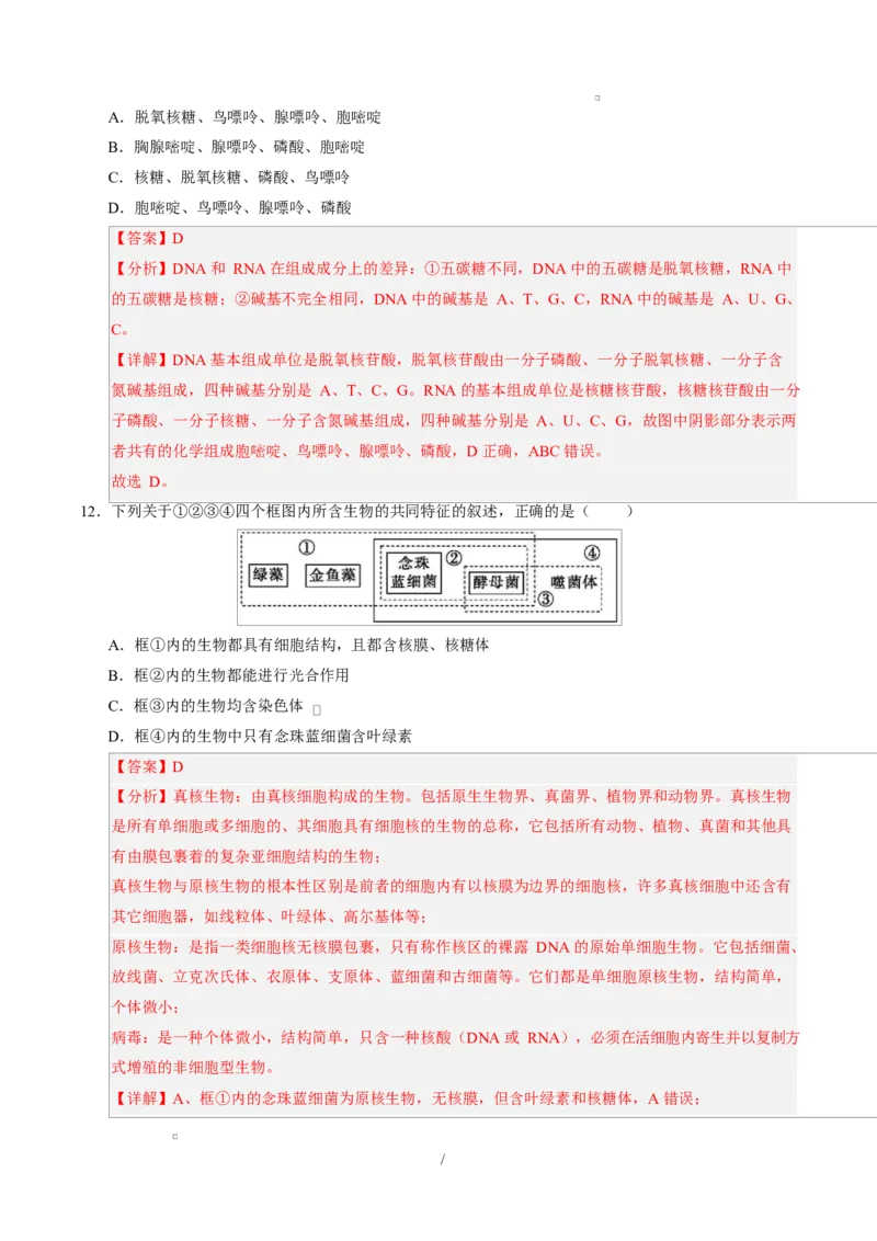 高一生物上学期第一次月考（广东专用）（全解全析）_2025年10月高一试卷_2510032025-2026学年高一生物上学期第一次月考_2025-2026学年高一生物上学期第一次月考（广东专用）Word版含解析