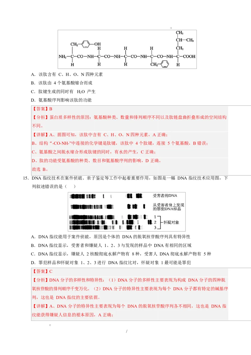 高一生物上学期第一次月考（广东专用）（全解全析）_2025年10月高一试卷_2510032025-2026学年高一生物上学期第一次月考_2025-2026学年高一生物上学期第一次月考（广东专用）Word版含解析