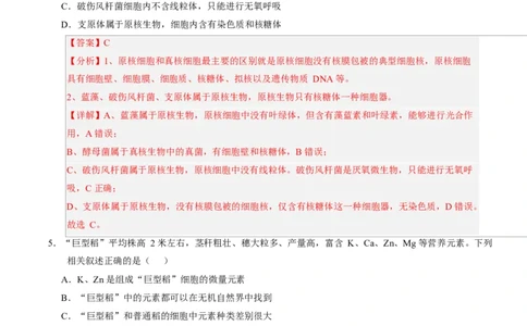 高一生物上学期第一次月考（广东专用）（全解全析）_2025年10月高一试卷_2510032025-2026学年高一生物上学期第一次月考_2025-2026学年高一生物上学期第一次月考（广东专用）Word版含解析