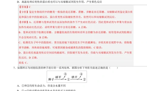 高一生物上学期第一次月考（广东专用）（全解全析）_2025年10月高一试卷_2510032025-2026学年高一生物上学期第一次月考_2025-2026学年高一生物上学期第一次月考（广东专用）Word版含解析