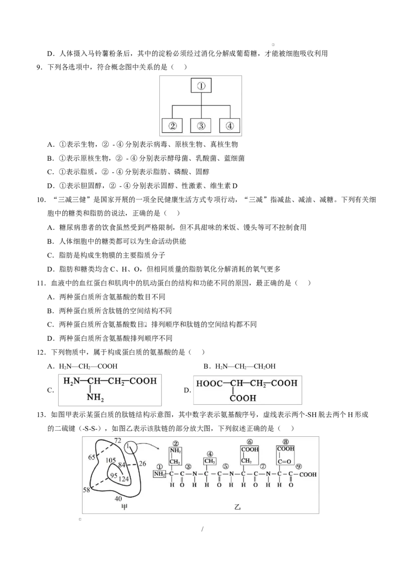 高一生物上学期第一次月考卷（天津专用）（考试版）_2025年10月高一试卷_2510032025-2026学年高一生物上学期第一次月考_2025-2026学年高一生物上学期第一次月考（天津专用）Word版含解析