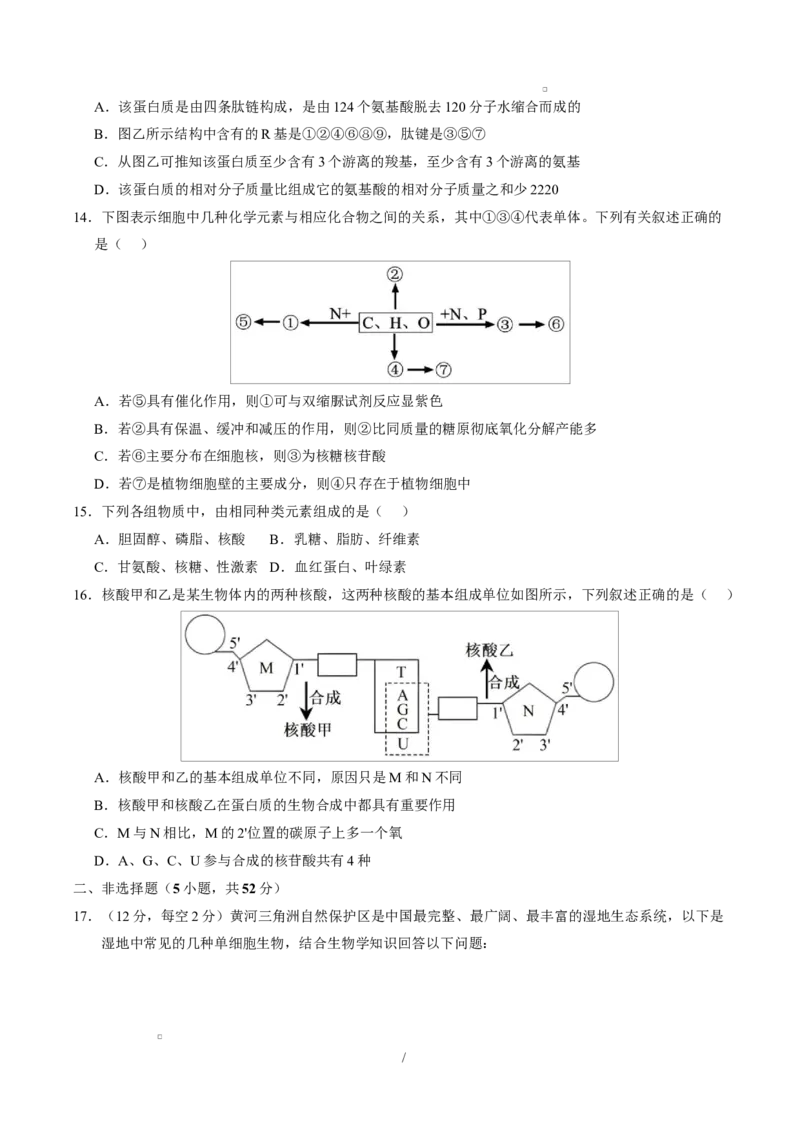 高一生物上学期第一次月考卷（天津专用）（考试版）_2025年10月高一试卷_2510032025-2026学年高一生物上学期第一次月考_2025-2026学年高一生物上学期第一次月考（天津专用）Word版含解析