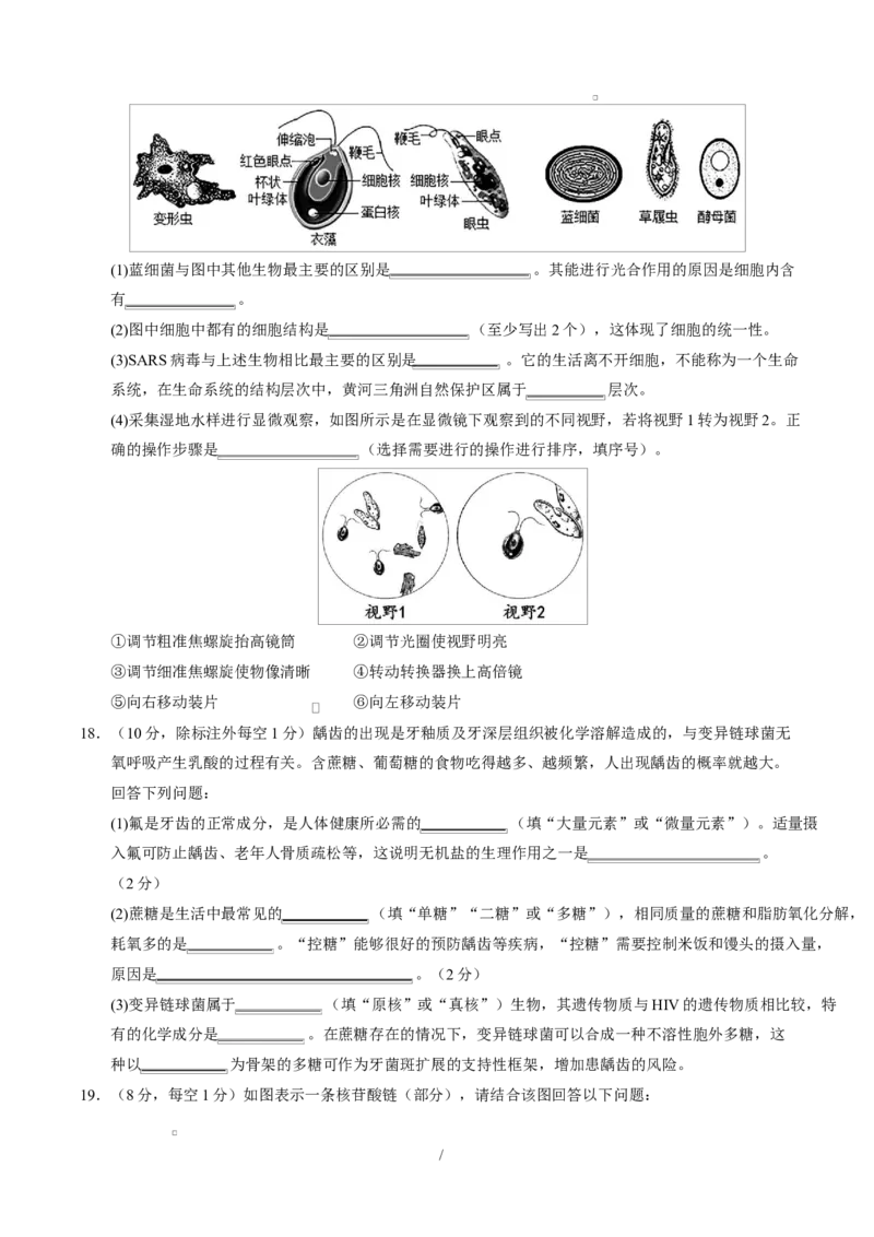 高一生物上学期第一次月考卷（天津专用）（考试版）_2025年10月高一试卷_2510032025-2026学年高一生物上学期第一次月考_2025-2026学年高一生物上学期第一次月考（天津专用）Word版含解析