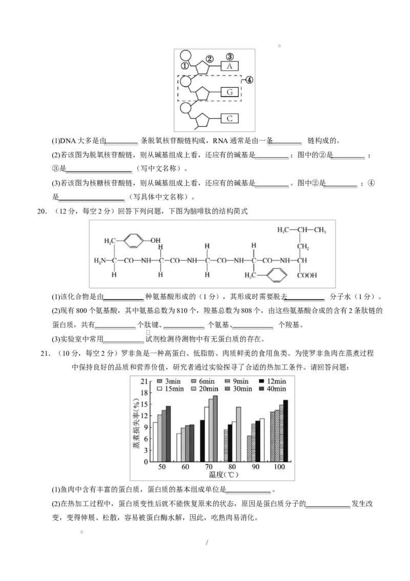 高一生物上学期第一次月考卷（天津专用）（考试版）_2025年10月高一试卷_2510032025-2026学年高一生物上学期第一次月考_2025-2026学年高一生物上学期第一次月考（天津专用）Word版含解析