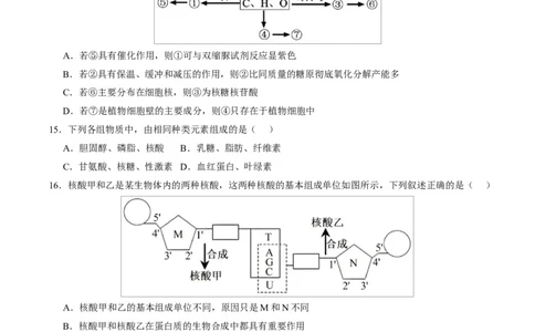 高一生物上学期第一次月考卷（天津专用）（考试版）_2025年10月高一试卷_2510032025-2026学年高一生物上学期第一次月考_2025-2026学年高一生物上学期第一次月考（天津专用）Word版含解析