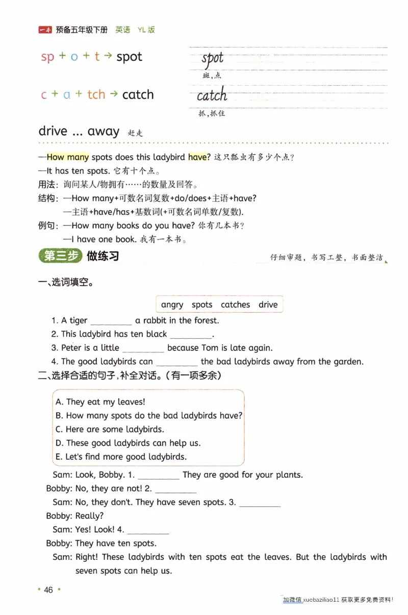 26春《一本预备五年级下册》译林版英语_2026春小学教辅大合集_4-26春《一本》系列_26春《一本预备》系列_26春英语译林版《一本预备》3-6年级下册_五下英语译林版