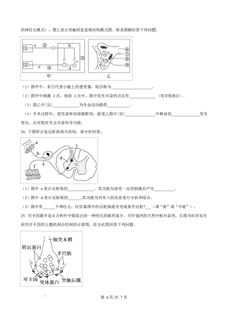 黑龙江省哈尔滨市第三十二中学2025-2026学年高二上学期11月期中生物试题（原卷版）_2025年12月高一试卷_251202黑龙江省哈尔滨市第三十二中学校2025-2026学年高一上学期期中考试（全）