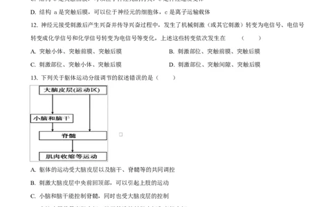黑龙江省哈尔滨市第三十二中学2025-2026学年高二上学期11月期中生物试题（原卷版）_2025年12月高一试卷_251202黑龙江省哈尔滨市第三十二中学校2025-2026学年高一上学期期中考试（全）
